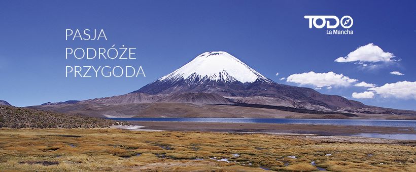 Toros bravos sueltos