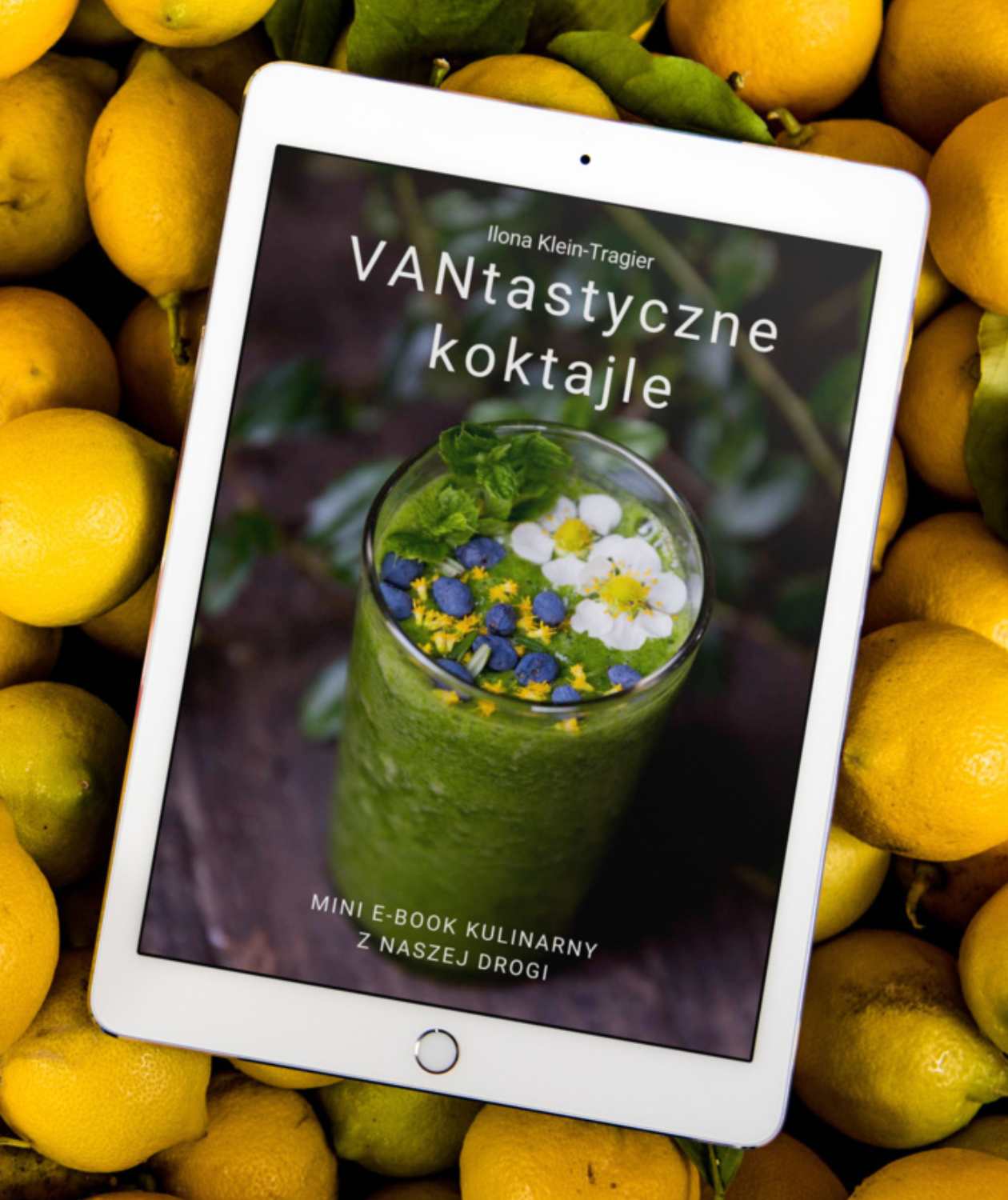 VANtastyczne koktajle | mini e-book kulinarny